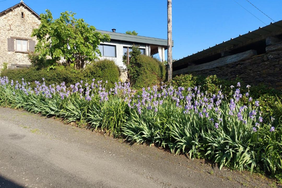 Photo of Others in Jouqueviel