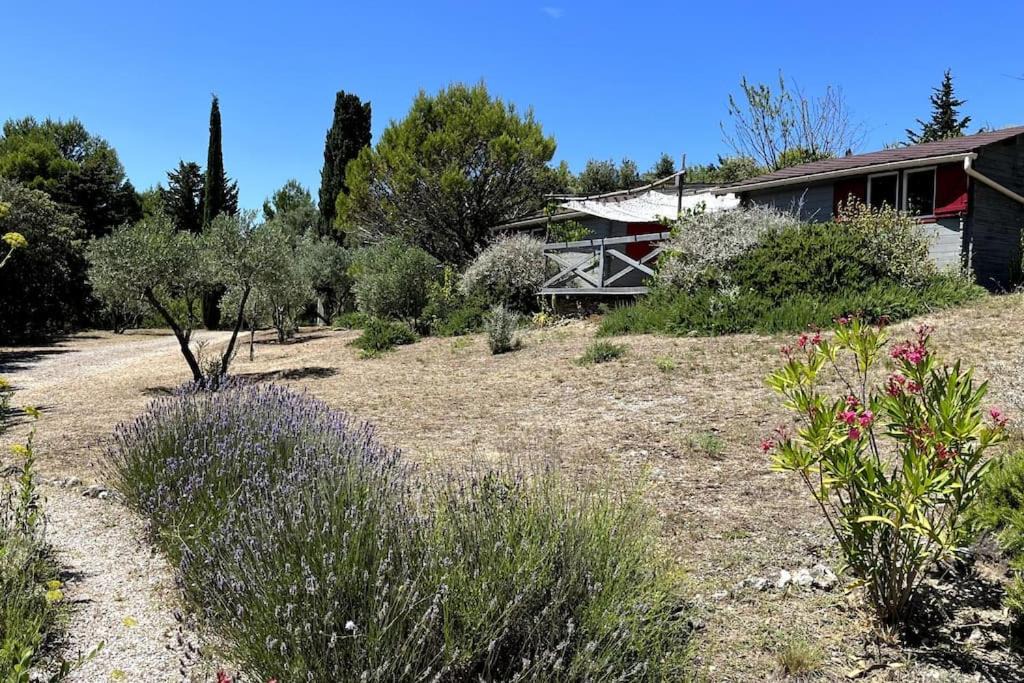 Photo of Others in Villeneuve-Minervois