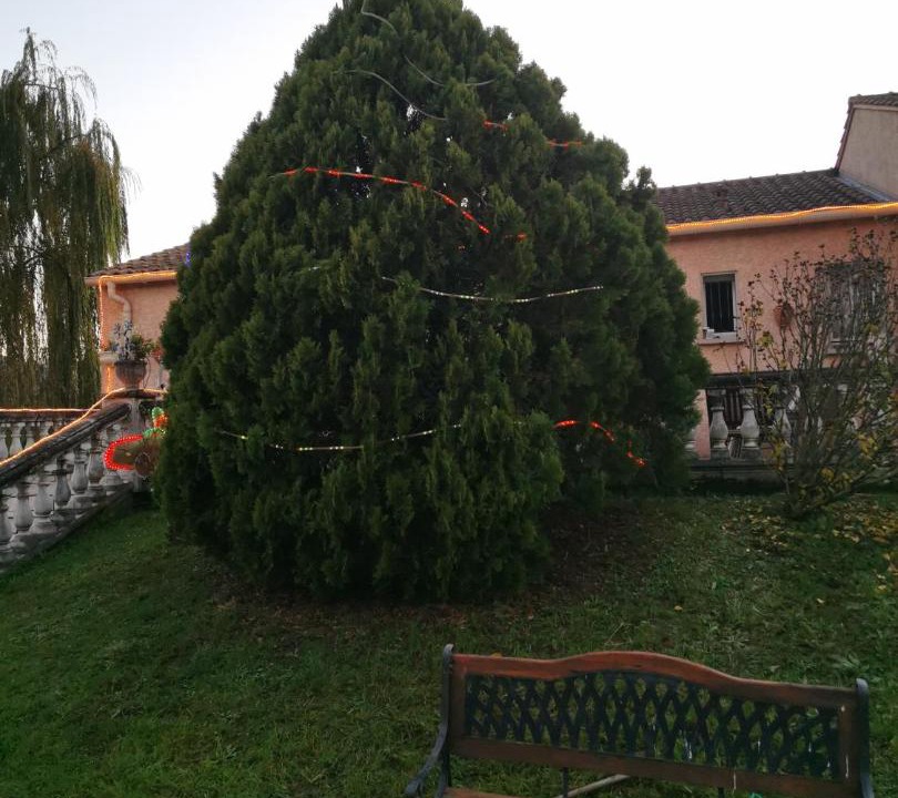 Photo of Others in Labruguiere