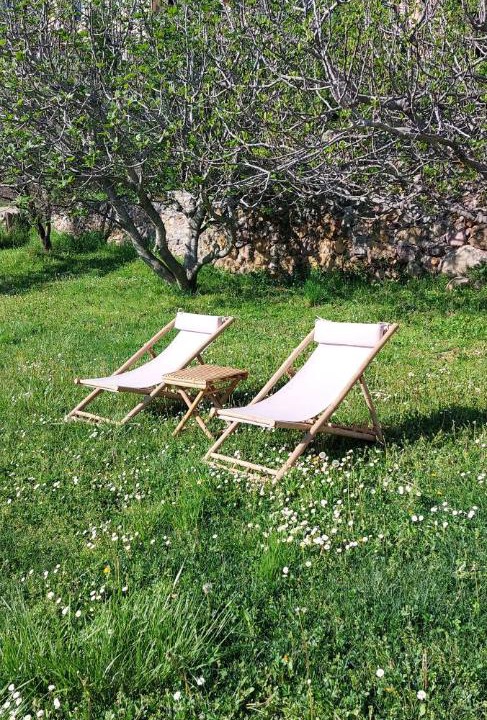 Photo of Others in Belvedere