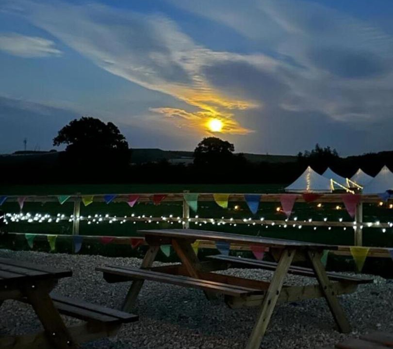 Photo of Others in Westbury