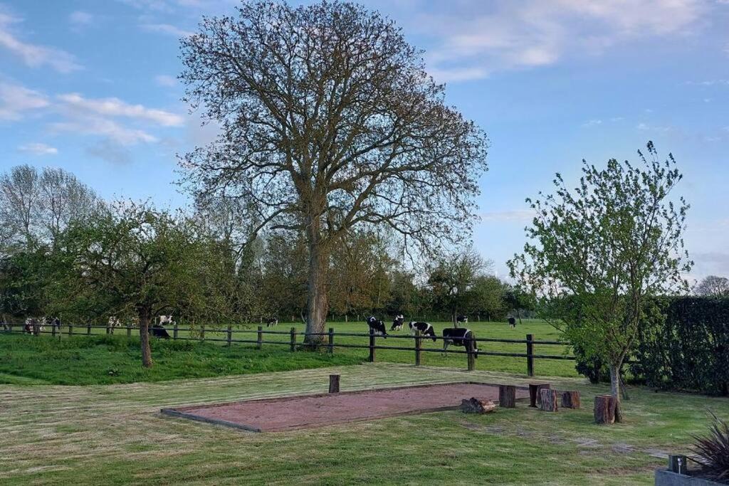 Photo of Others in Quetteville