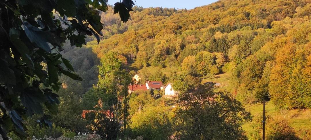 Photo of Others in Fresse