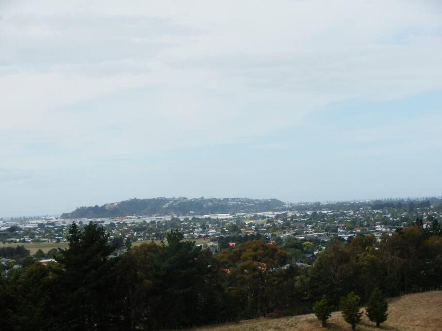 Photo of Others in Taradale