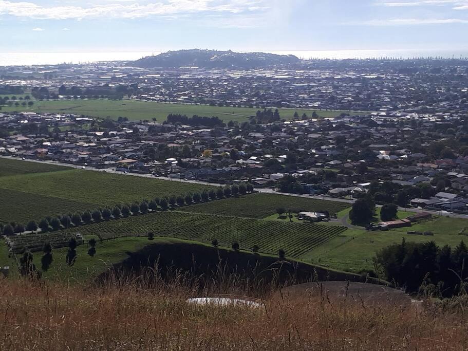 Photo of Others in Taradale