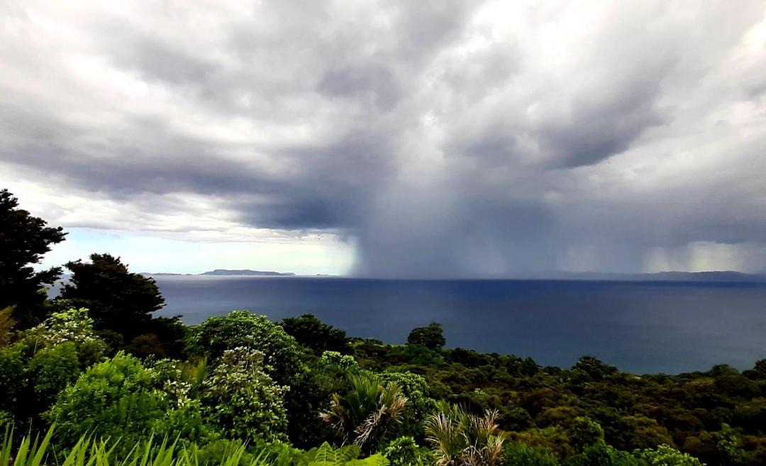 Photo of Others in Tuateawa