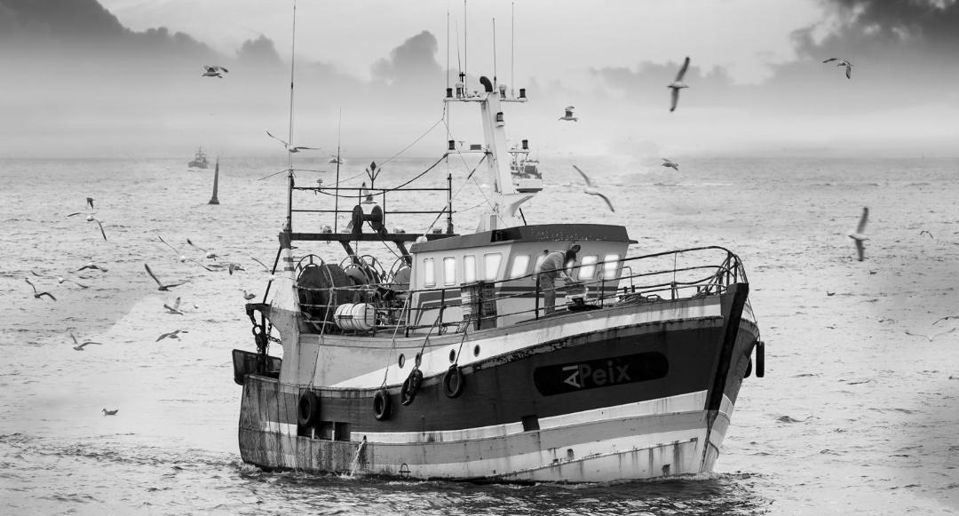 Photo of Others in Banyuls-sur-Mer