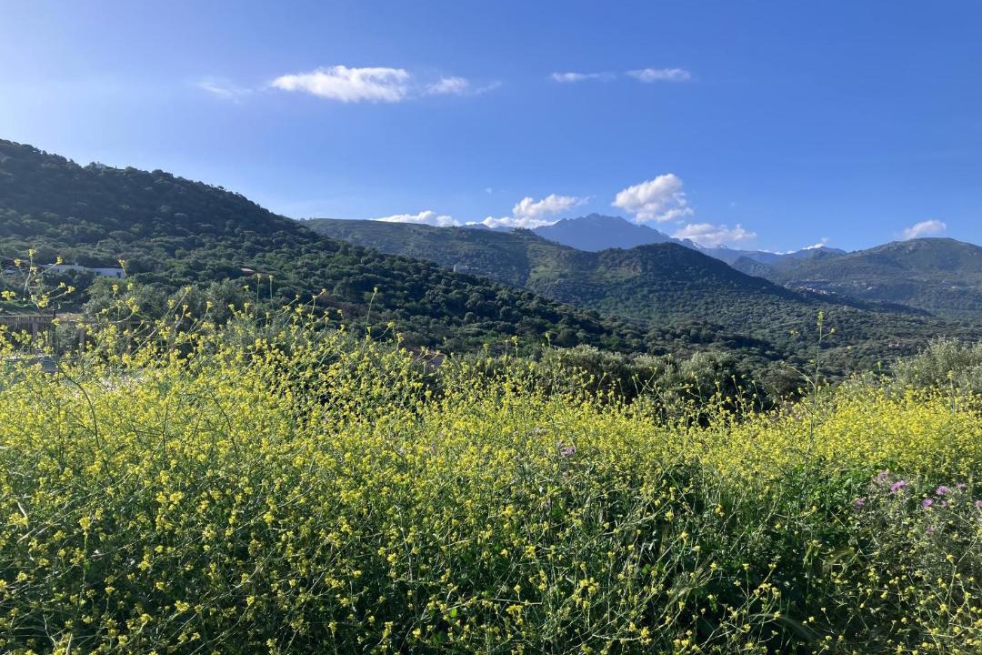 Photo of Others in Marine de Davia