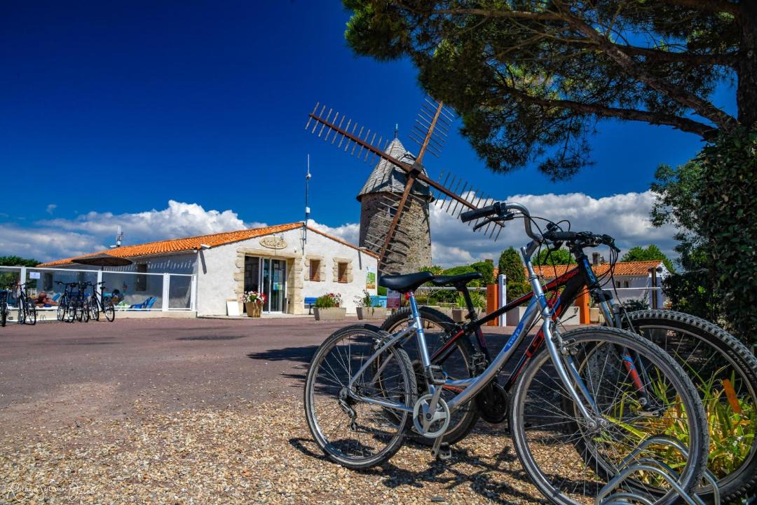 Photo of Others in Olonne-sur-Mer