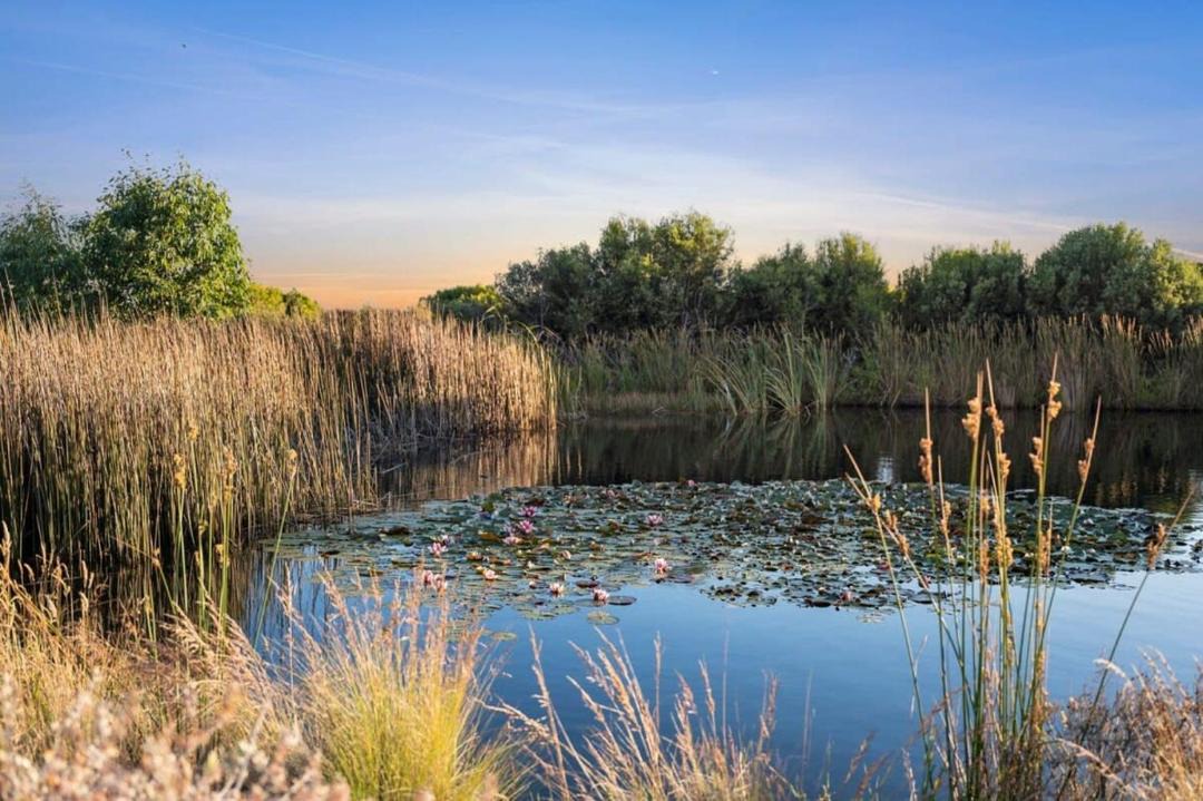 Photo of Others in Jan Juc