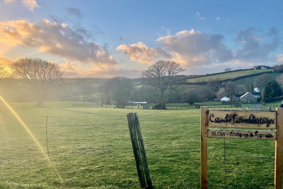 Photo of Others in Trewen