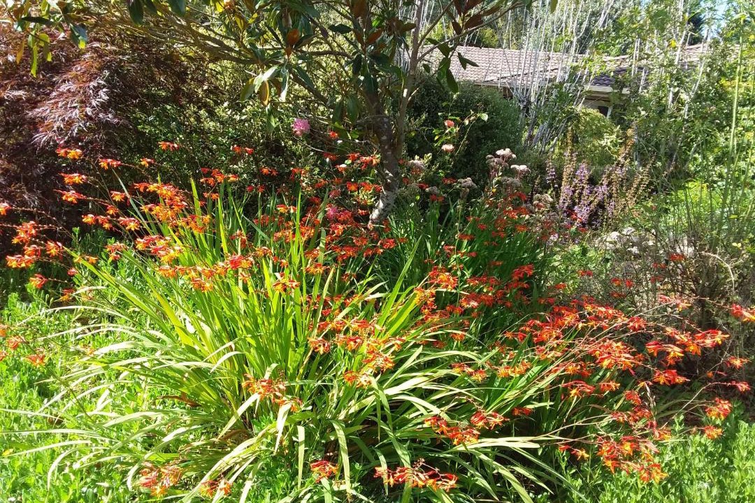 Photo of Others in Woodend North