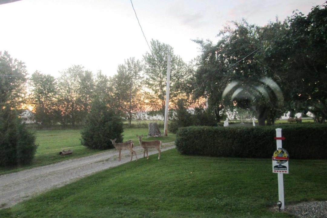 Photo of Others in Port-Daniel