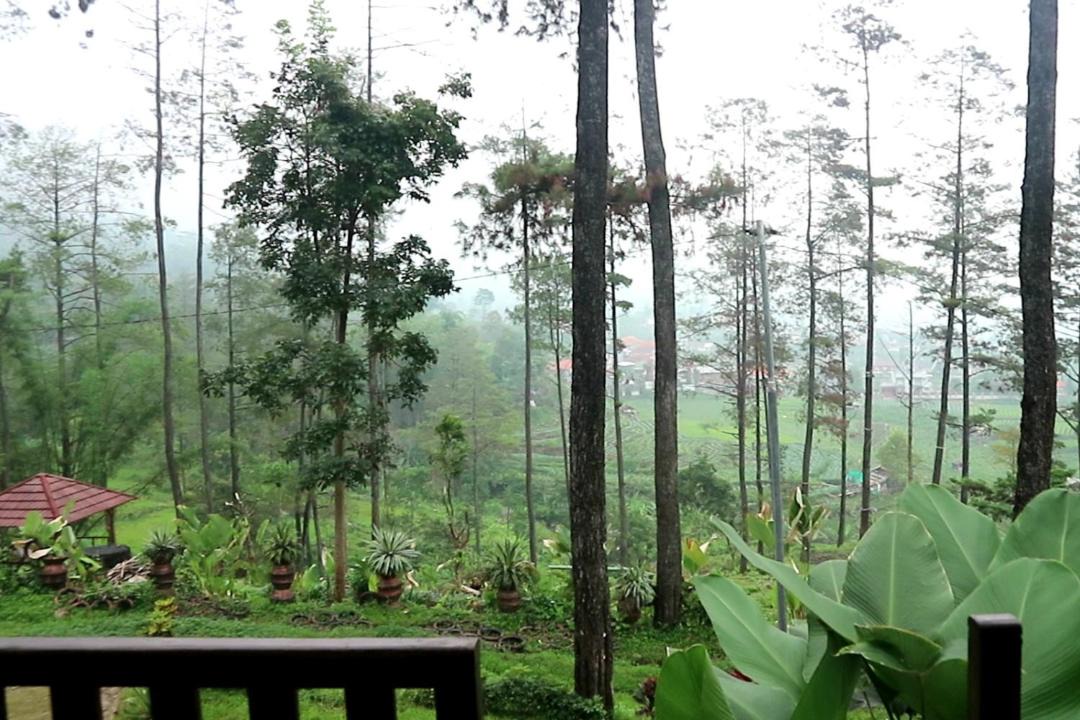 Photo of Others in Pacet