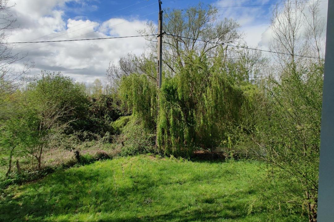 Photo of Others in Vivy