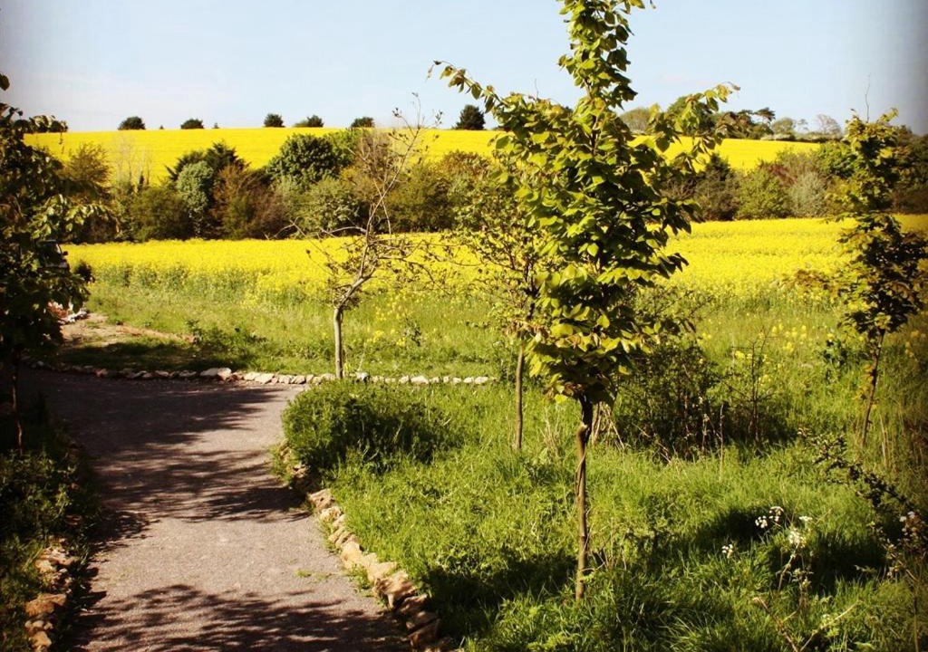 Photo of Others in Wallingford