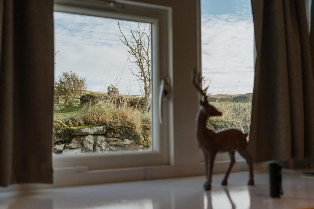 Photo of Others in Campbeltown