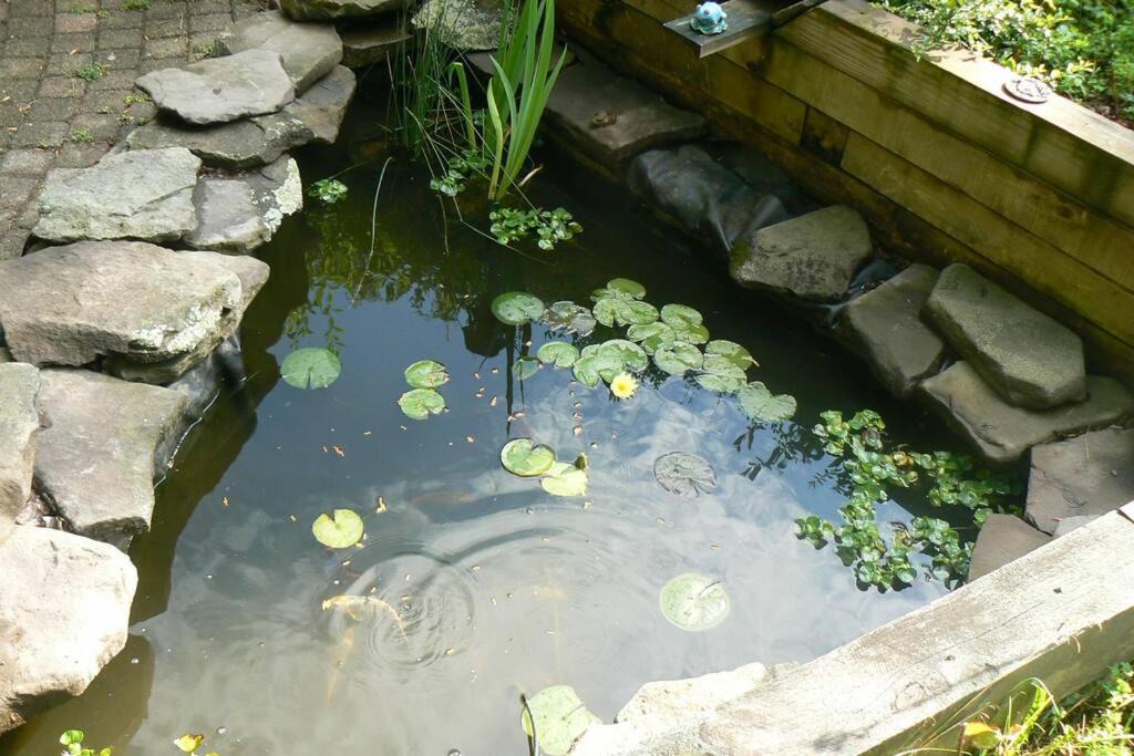 Photo of Others in West Kill