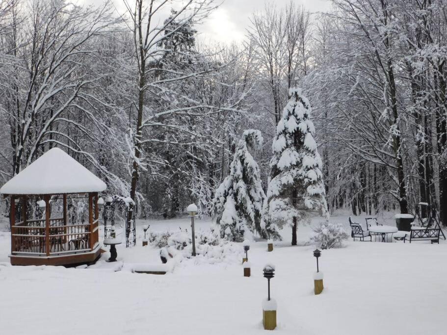 Photo of Others in West Kill