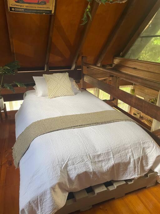 Photo of Others in Beechmont