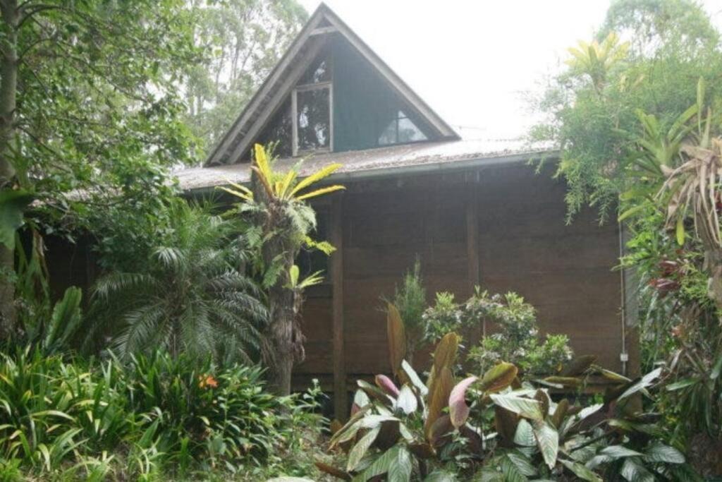 Photo of Others in Beechmont