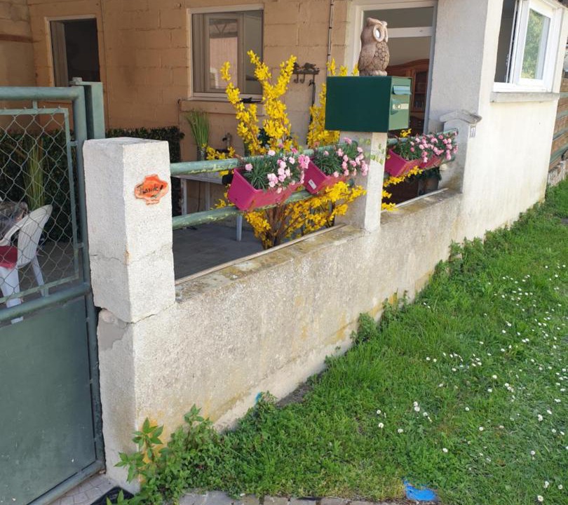 Photo of Others in Le Meriot