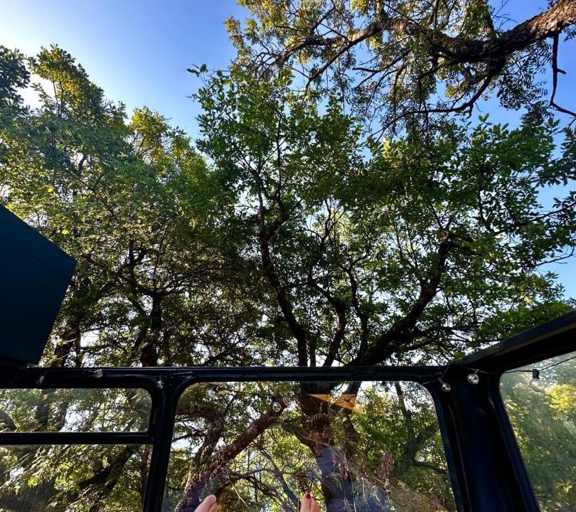 Photo of Others in Le Sauze-du-Lac