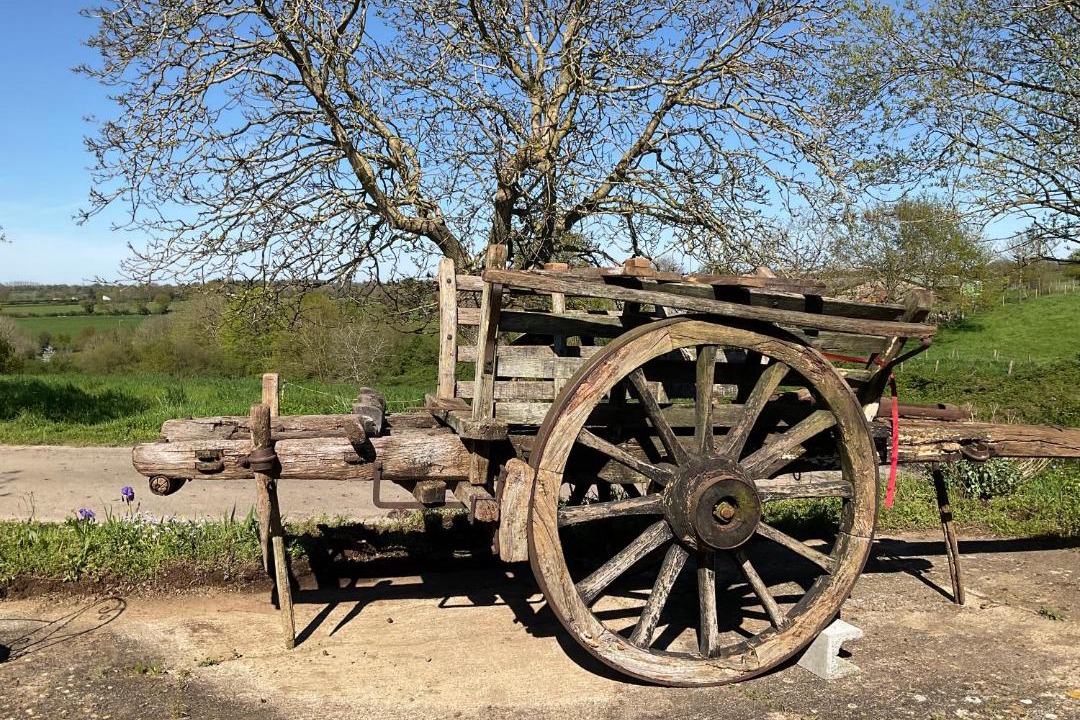 Photo of Others in Saint-Pierre-du-Chemin