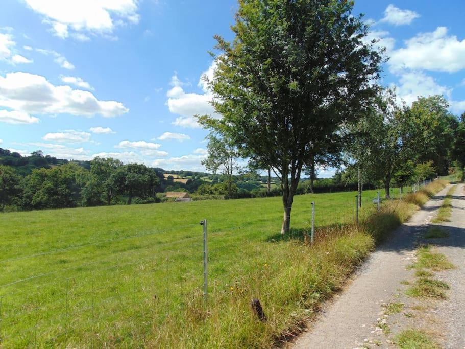 Photo of Others in Chard