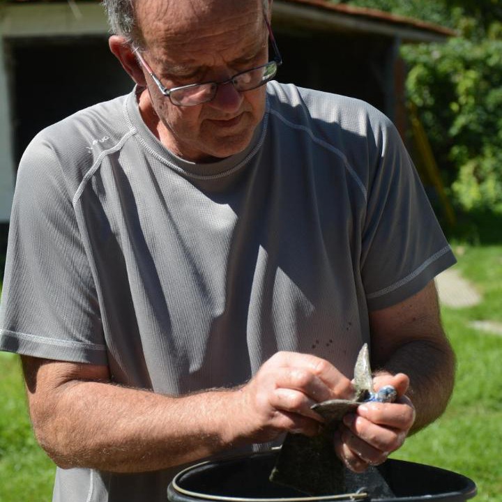 Photo of Others in Brimeux