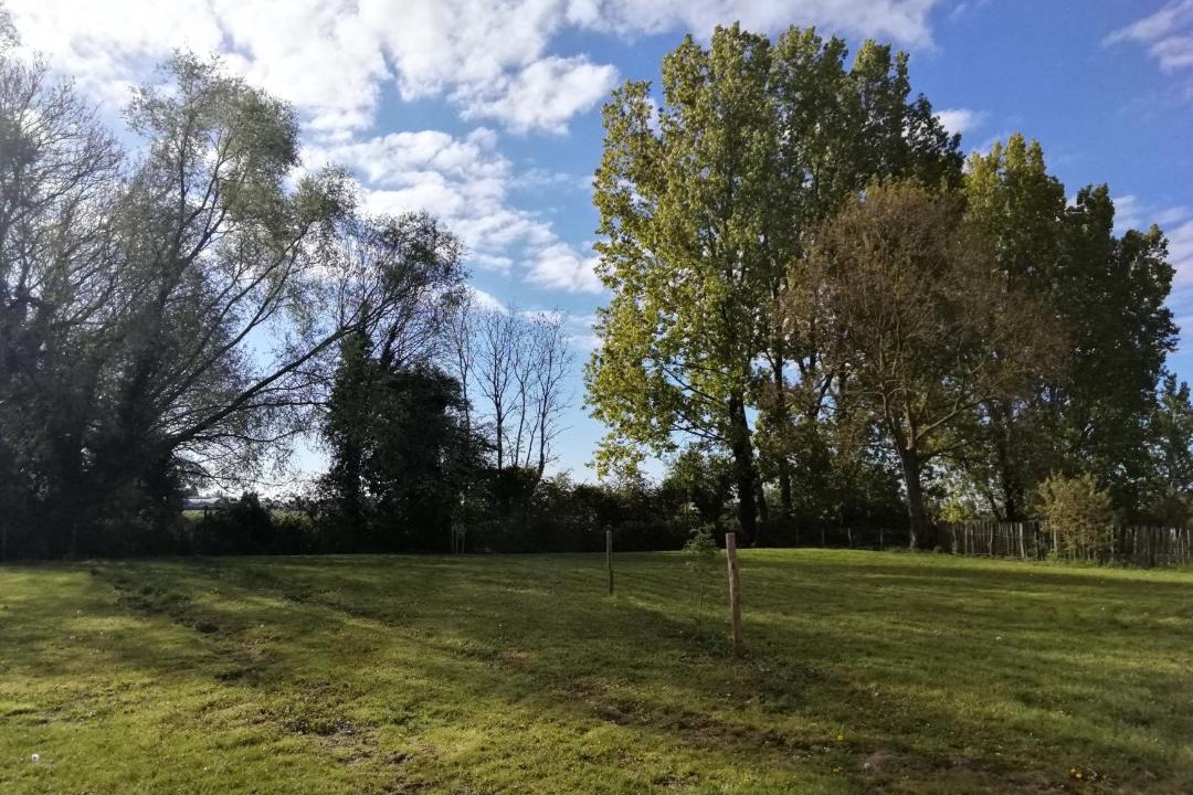 Photo of Others in Merville