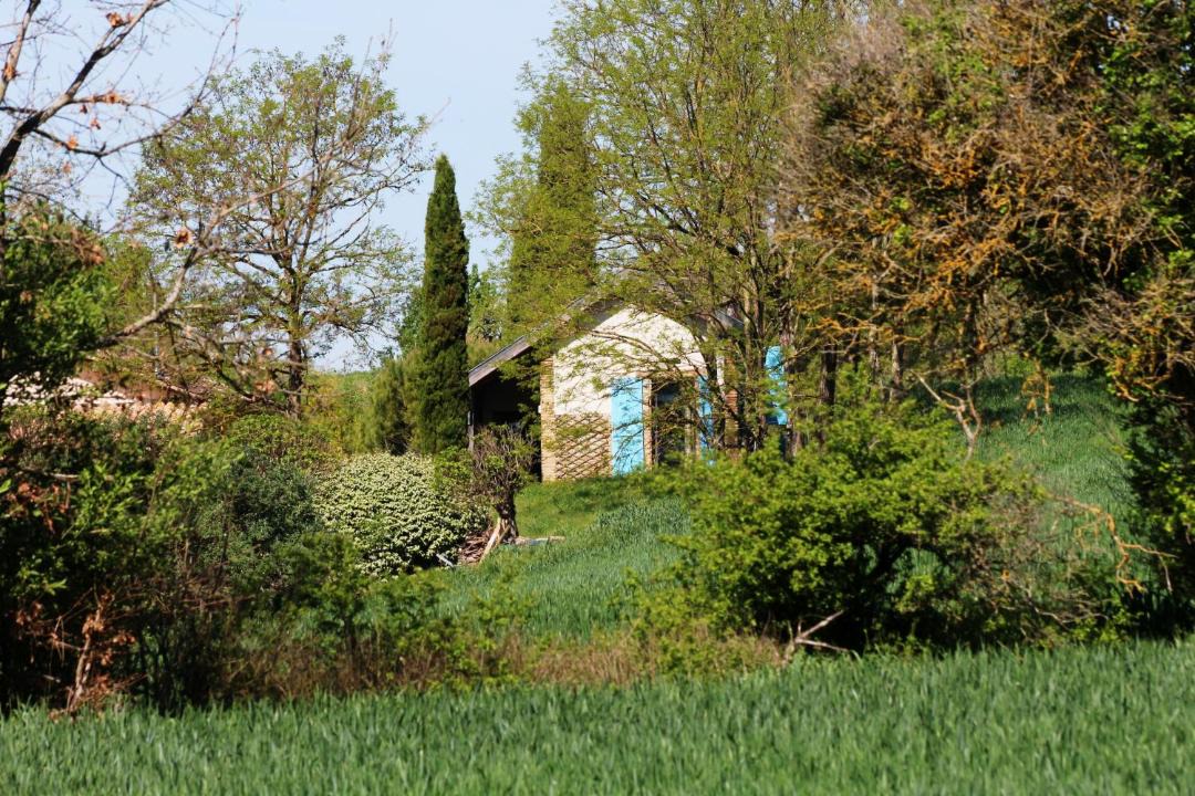 Photo of Others in Lisle-sur-Tarn