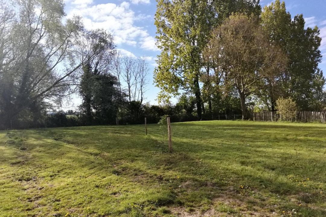 Photo of Others in Merville