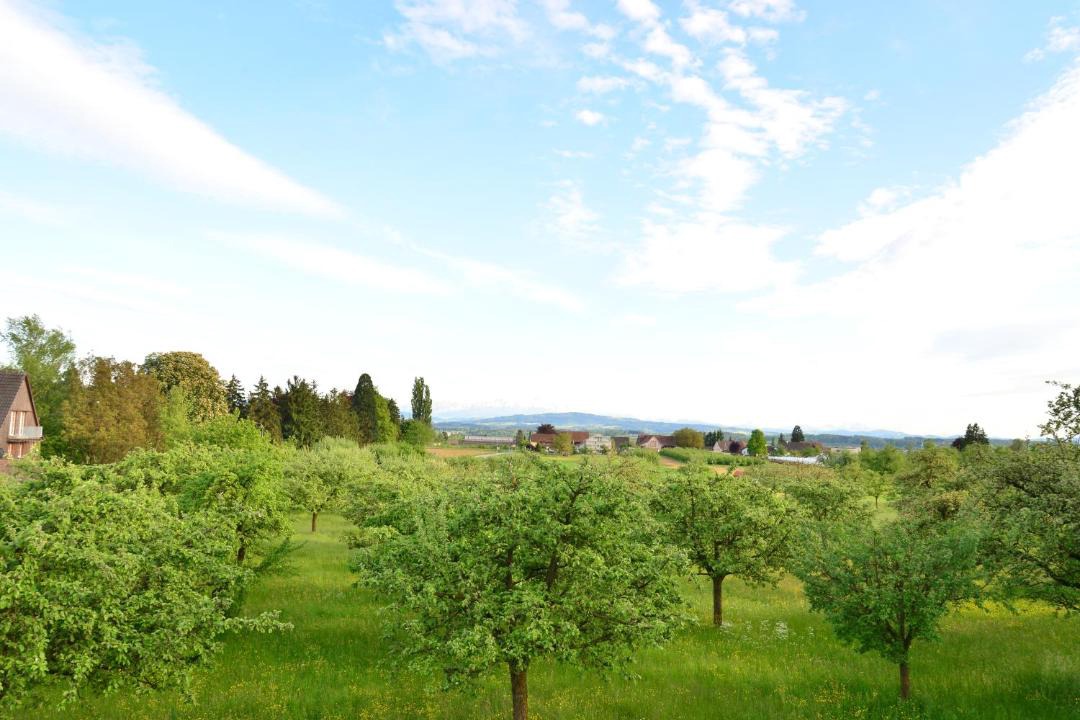 Photo of Others in Dozwil