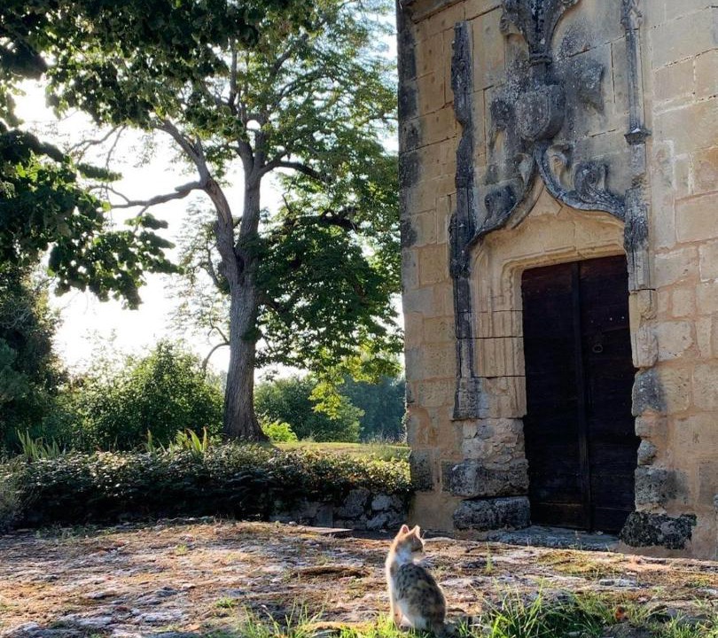 Photo of Others in Monsac