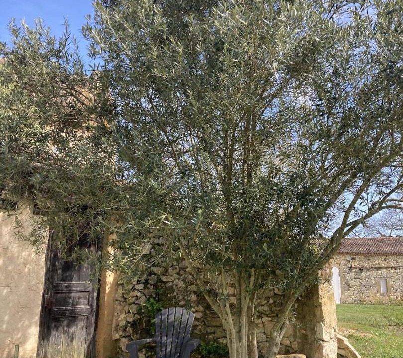 Photo of Others in Monsac