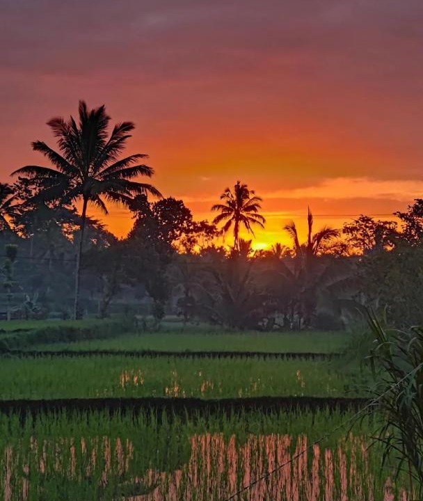Photo of Others in Tetebatu