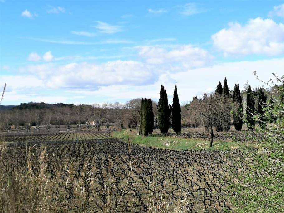 Photo of Others in Cornillon