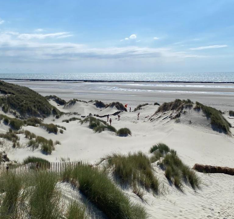 Photo of Others in Friville-Escarbotin