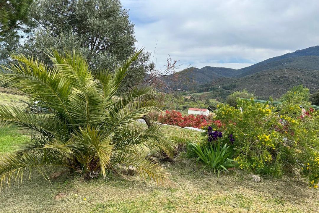 Photo of Others in Mons