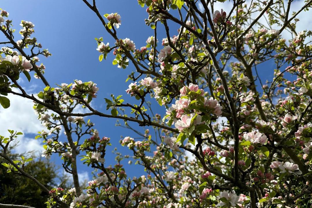 Photo of Others in Horton