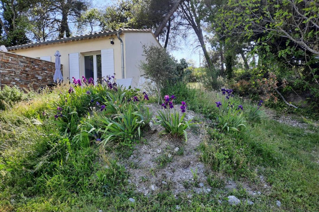 Photo of Others in Simiane-Collongue