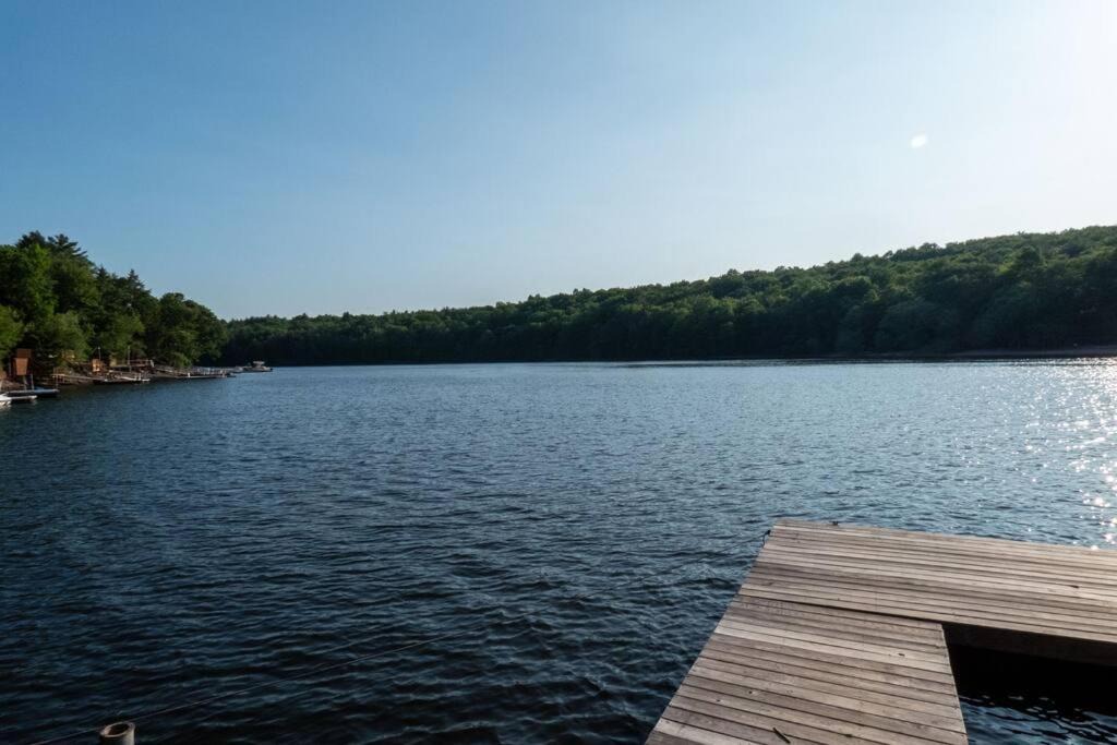 Photo of Others in Monticello