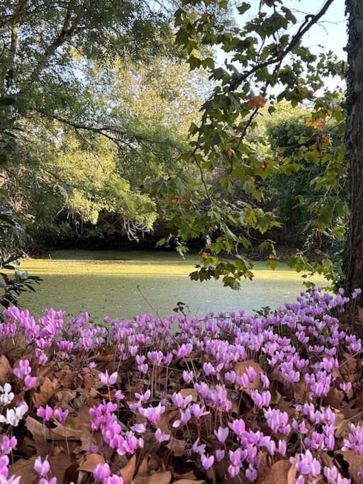 Photo of Others in Feneu