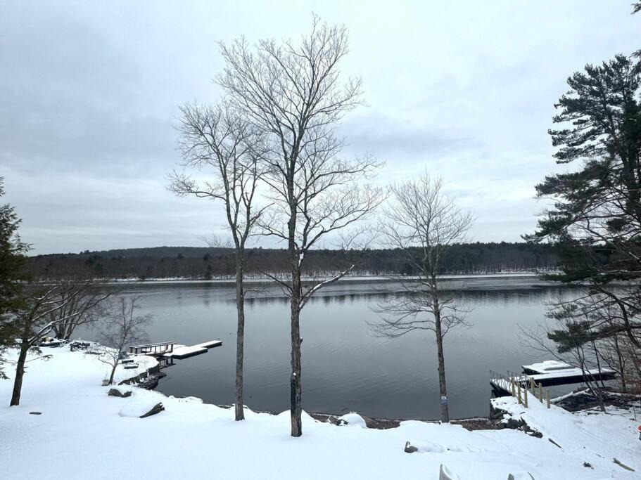 Photo of Others in Monticello