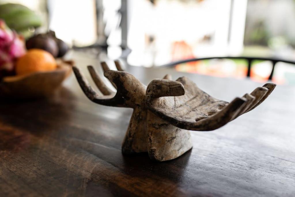 Photo of Others in Jungut Batu