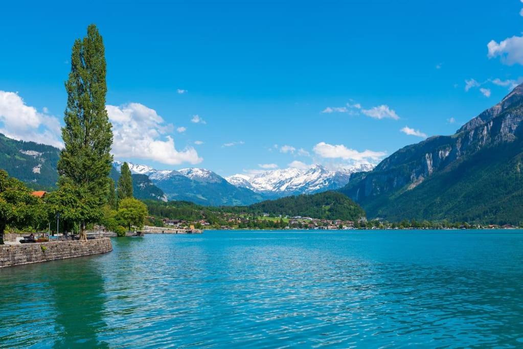 Photo of Others in Brienz
