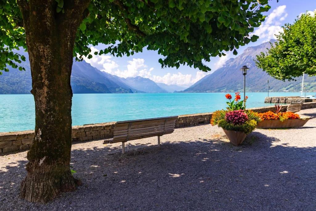 Photo of Others in Brienz