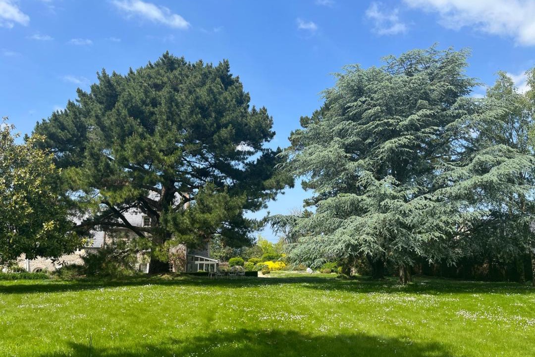 Photo of Others in Plouer-sur-Rance