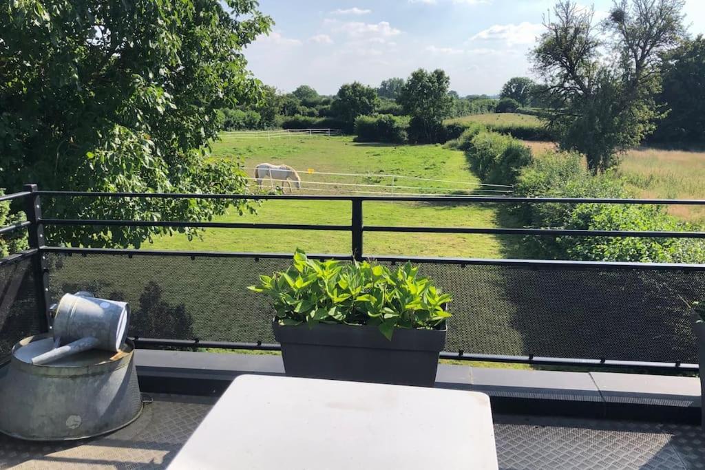 Photo of Others in Hecq